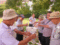 f:id:heisai:20160724133535j:image:small