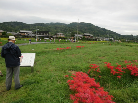 f:id:heisai:20161202124738j:image