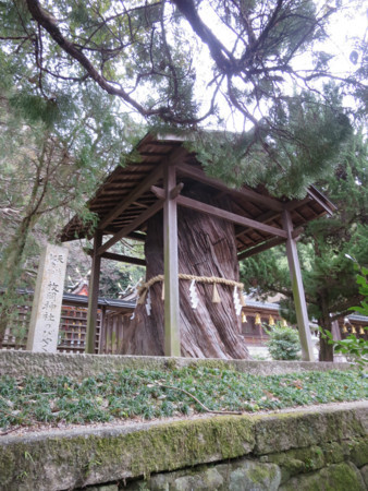 f:id:heisai:20180304142451j:image