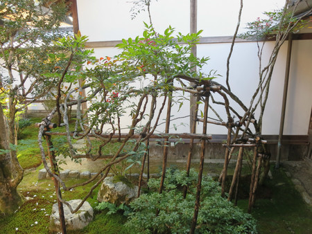 f:id:heisai:20181231165607j:image