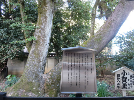 f:id:heisai:20190119234028j:image f:id:heisai:20190119234028j:image