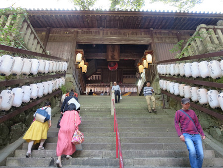 f:id:heisai:20190124233109j:image