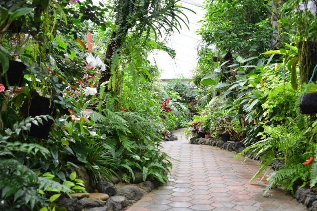 f:id:heitaku:20210927211316j:image