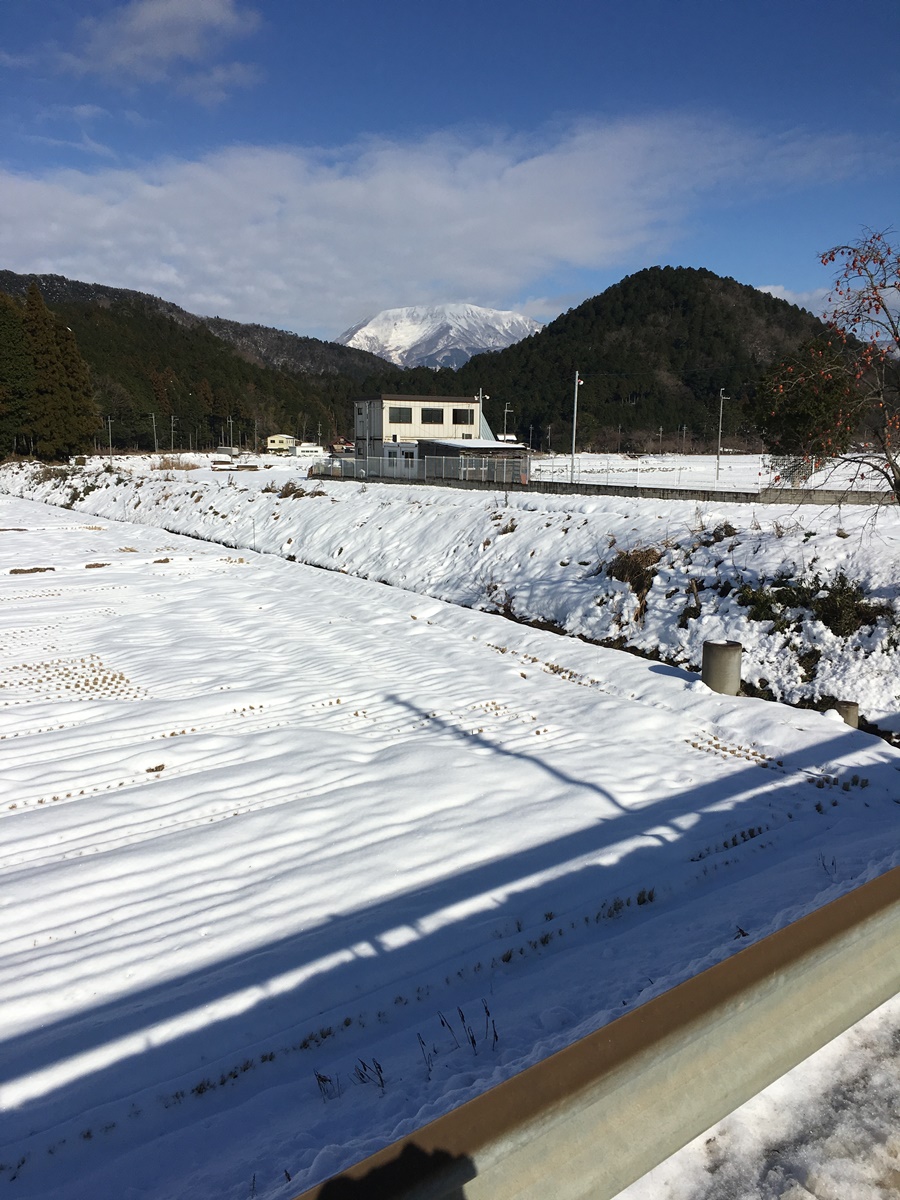 京都 滋賀県 1号線 自転車