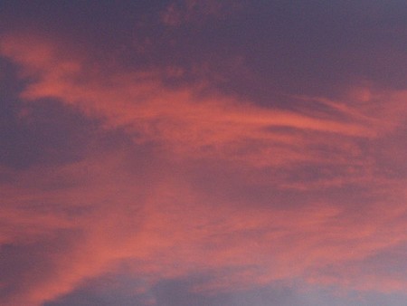 f:id:heiwanotoride77:20060813094837j:image f:id:heiwanotoride77:20060813094837j:image
