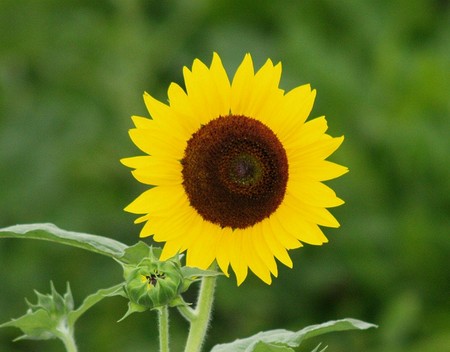 f:id:heiwanotoride77:20060905200311j:image f:id:heiwanotoride77:20060905200311j:image