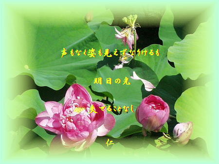 f:id:heiwanotoride77:20070831010913j:image f:id:heiwanotoride77:20070831010913j:image