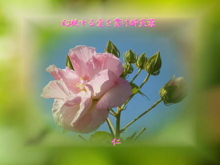 f:id:heiwanotoride77:20110410231235j:image f:id:heiwanotoride77:20110410231235j:image