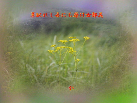 f:id:heiwanotoride77:20120916072543j:image:w360 f:id:heiwanotoride77:20120916072543j:image:w360
