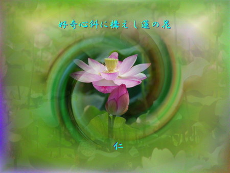 f:id:heiwanotoride77:20130715155929j:image:w360 f:id:heiwanotoride77:20130715155929j:image:w360