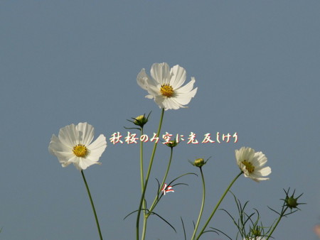f:id:heiwanotoride77:20140729160931j:image:w360 f:id:heiwanotoride77:20140729160931j:image:w360