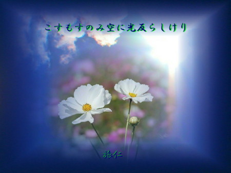 f:id:heiwanotoride77:20140729161117j:image:w360 f:id:heiwanotoride77:20140729161117j:image:w360