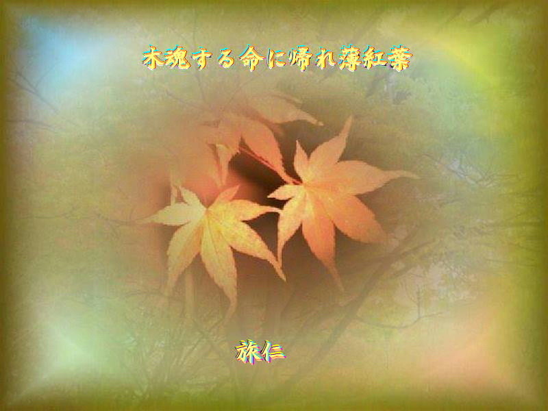 f:id:heiwanotoride77:20200813072759j:plain f:id:heiwanotoride77:20200813072759j:plain