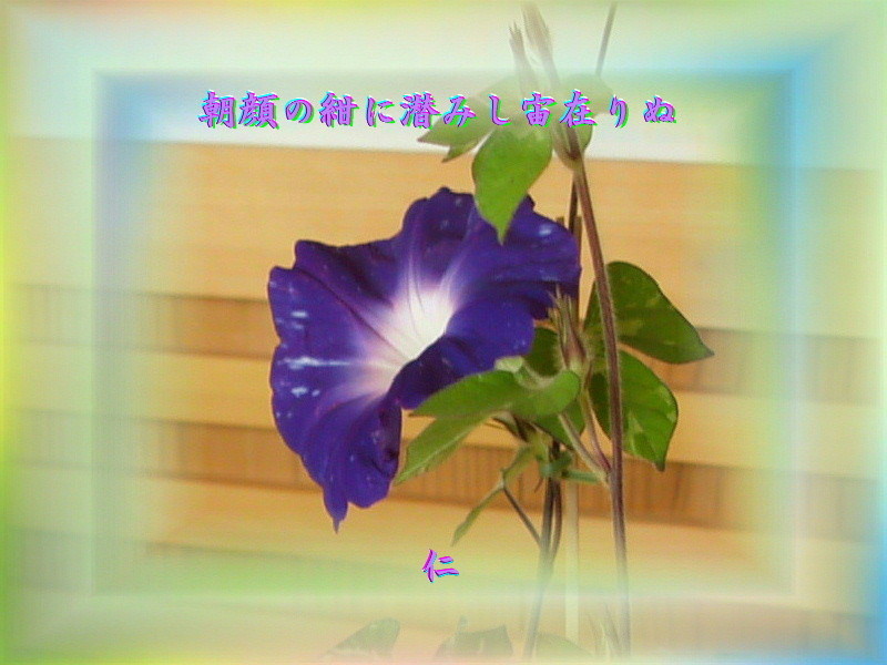 f:id:heiwanotoride77:20200815111710j:plain f:id:heiwanotoride77:20200815111710j:plain