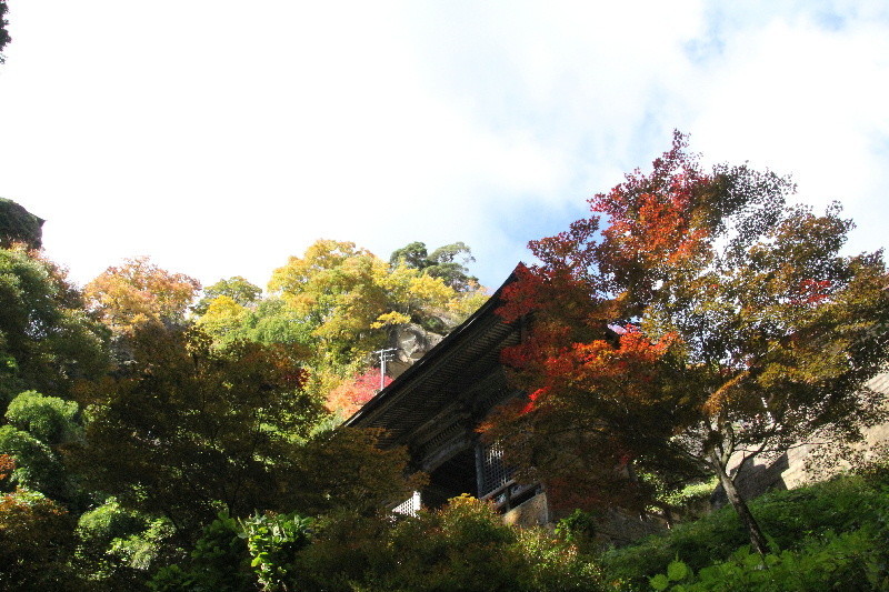 f:id:heiwanotoride77:20200815112206j:plain f:id:heiwanotoride77:20200815112206j:plain