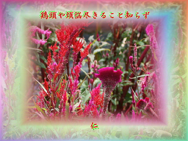 f:id:heiwanotoride77:20210102235448j:plain