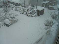 f:id:hejihogu:20060103145519j:image