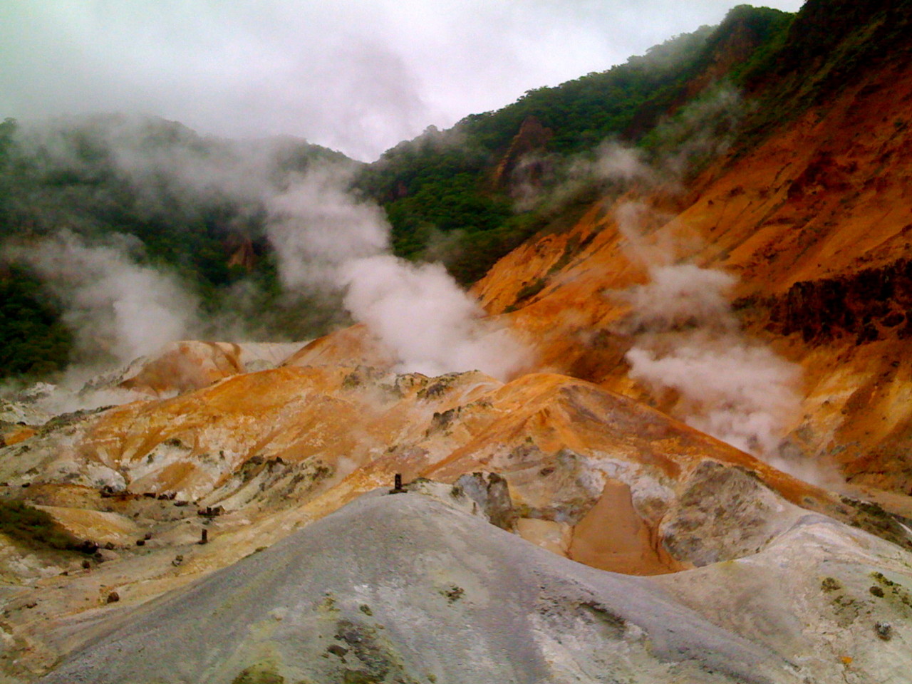 f:id:hejihogu:20090616130957j:image:w480 f:id:hejihogu:20090616130957j:image:w480