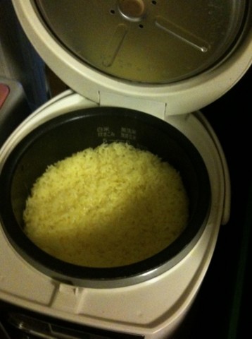 f:id:hejihogu:20100427193400j:image