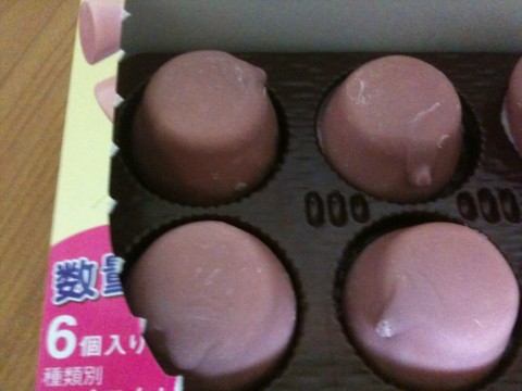 f:id:hejihogu:20100614210926j:image