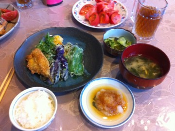 f:id:hejihogu:20100705184024j:image:w360