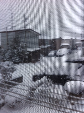 f:id:hejihogu:20101218075247j:image