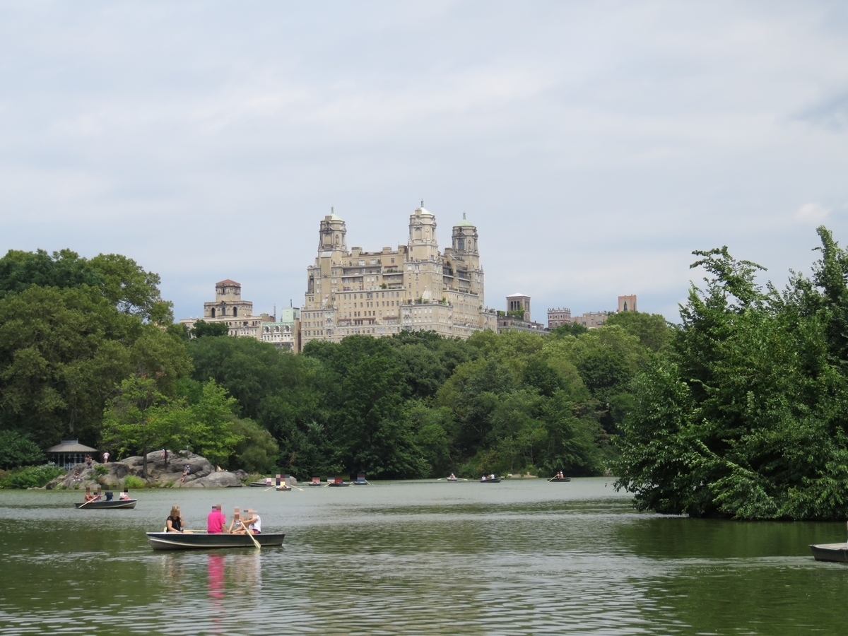 The Lake と 病院