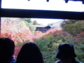 20081125223128