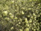 20090320082923