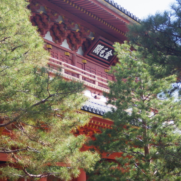 f:id:hekigyokuan:20210331092017j:plain