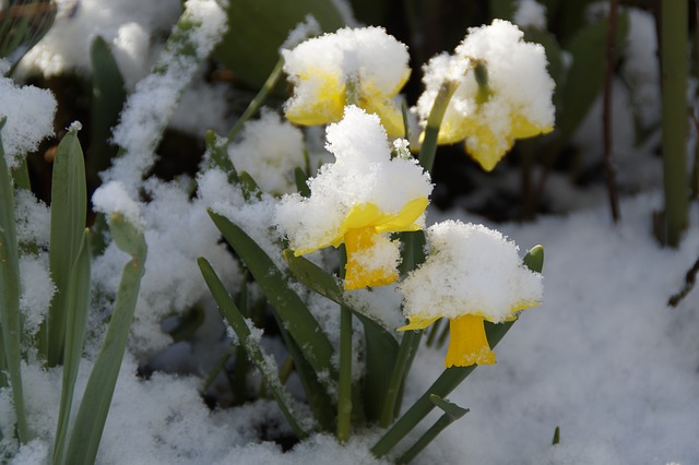 f:id:heliot:20190210142906j:plain f:id:heliot:20190210142906j:plain