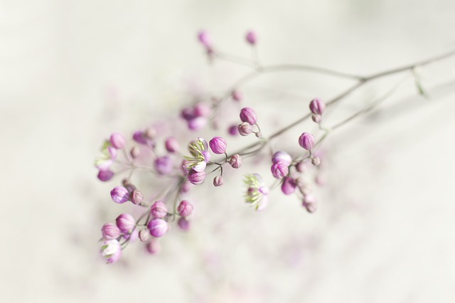 f:id:heliot:20191129015442j:plain f:id:heliot:20191129015442j:plain