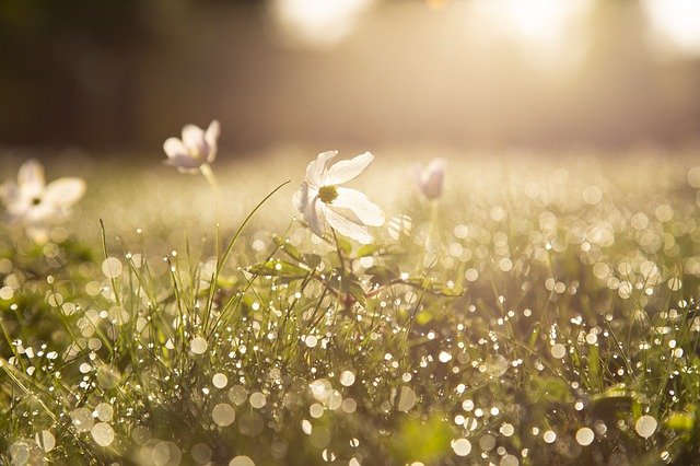 f:id:heliot:20200930185243j:plain f:id:heliot:20200930185243j:plain