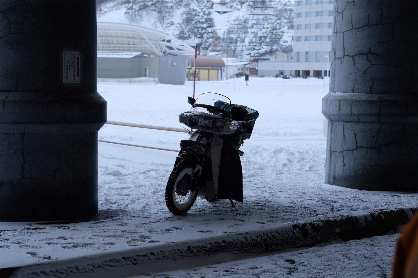 東北から来たマカマカさんのカブ