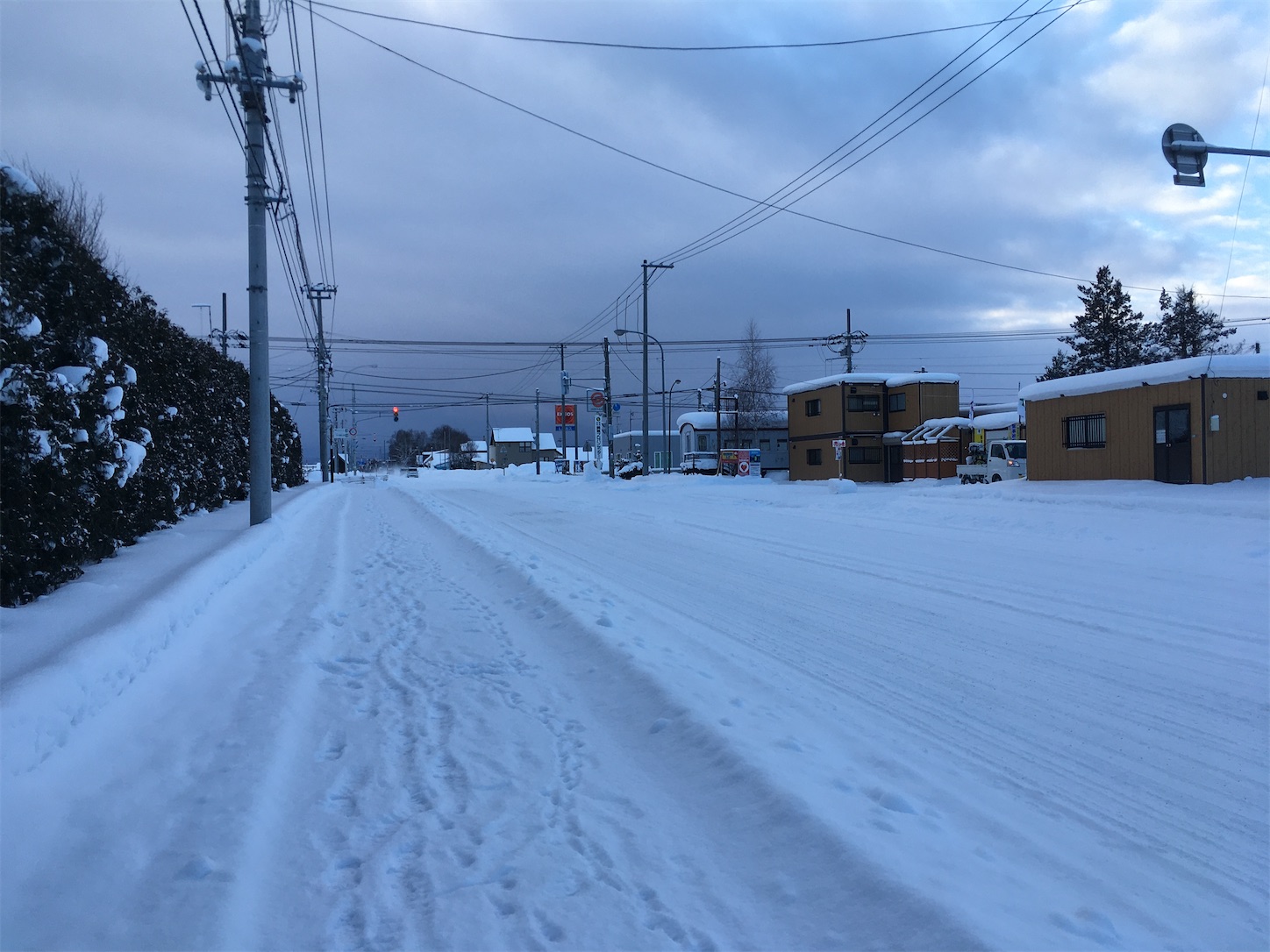 雪の中の美瑛 蜂の宿跡地