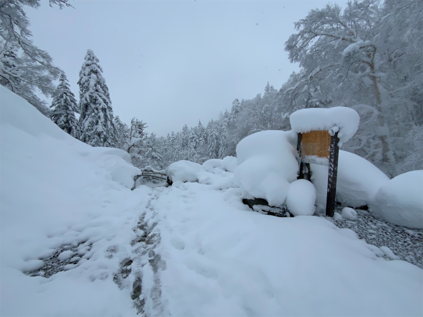 雪の美瑛 吹上露天の湯