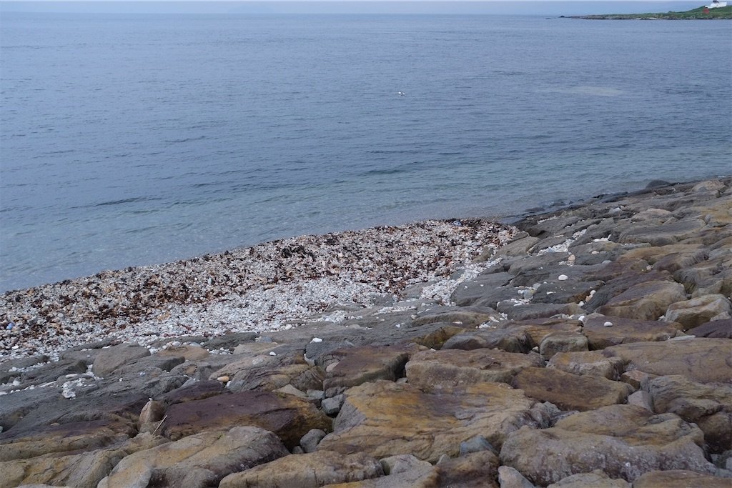 大間の海岸