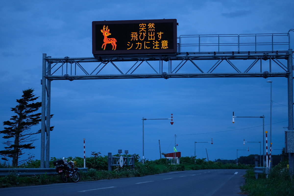 オホーツク 鹿注意