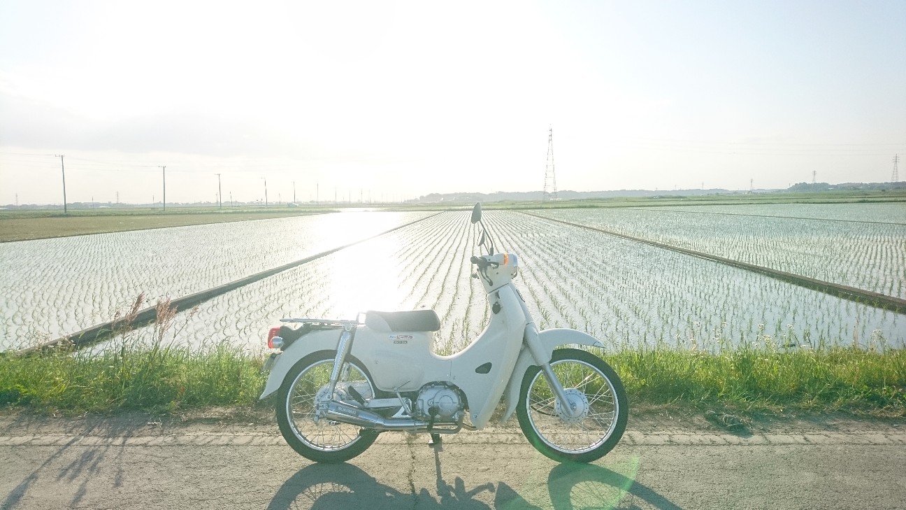 新型スーパーカブ110（JA44）にモリワキメガホンマフラーを取り付けて 