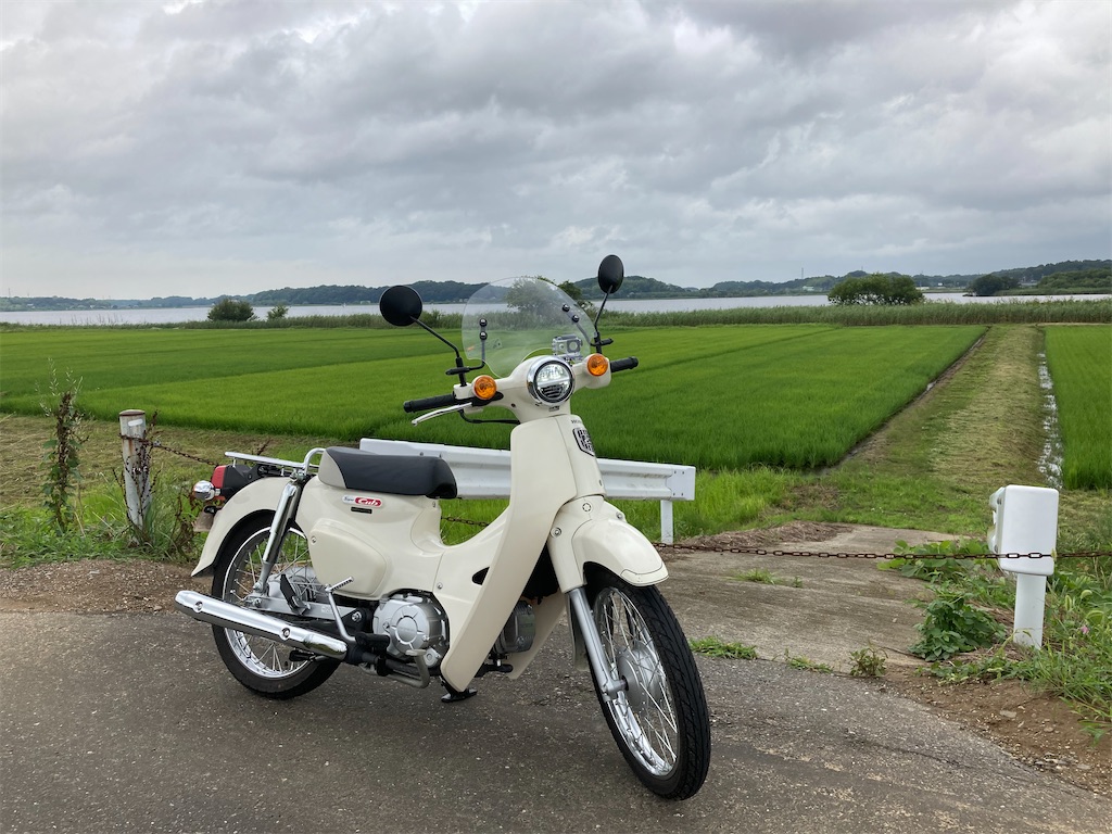 旭風防 Af クリア Asahi ショートバイザー ホンダ