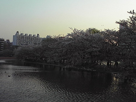忍ぶ忍ばず…
