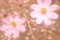 [雨][草花]