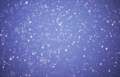 [雪]snowy sky