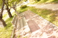 [草花]言の葉