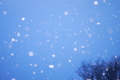 [雪]blue hour