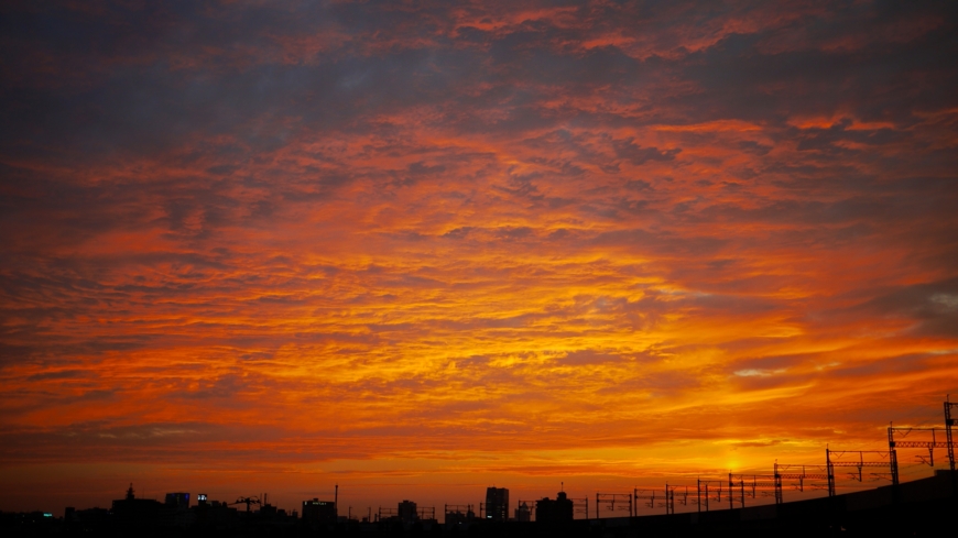 太陽柱