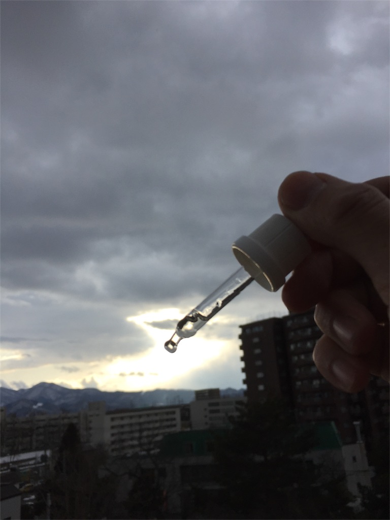 f:id:hello-yamato:20170320144031j:image f:id:hello-yamato:20170320144031j:image