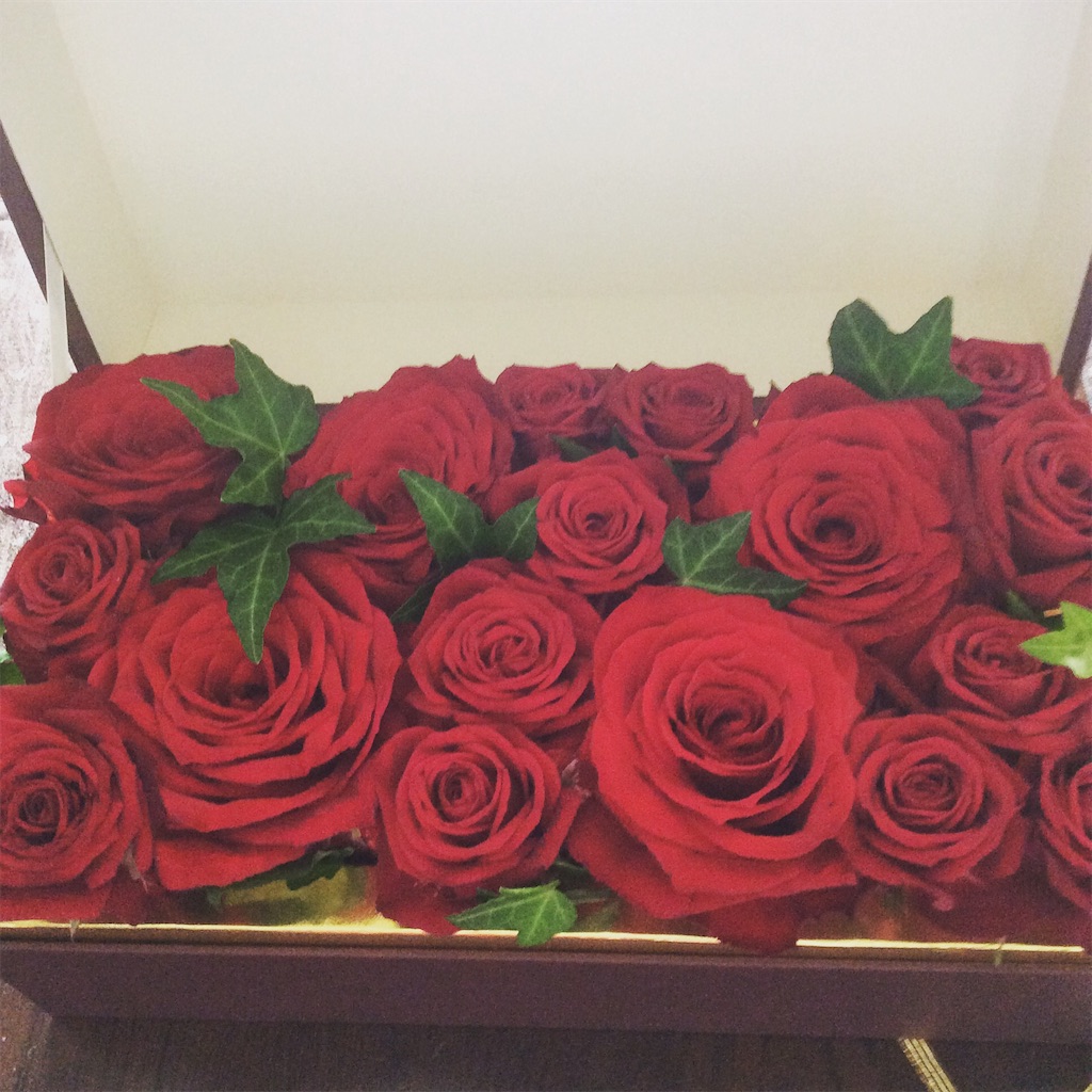 f:id:hello106:20161122215152j:image