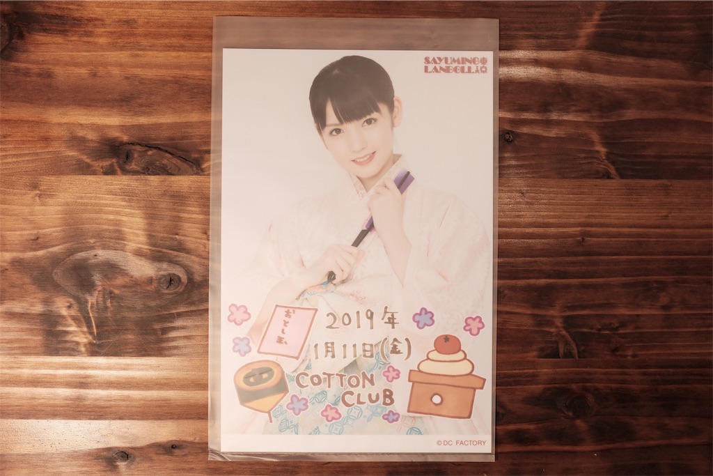 f:id:hello_Kazukix:20190112095233j:image