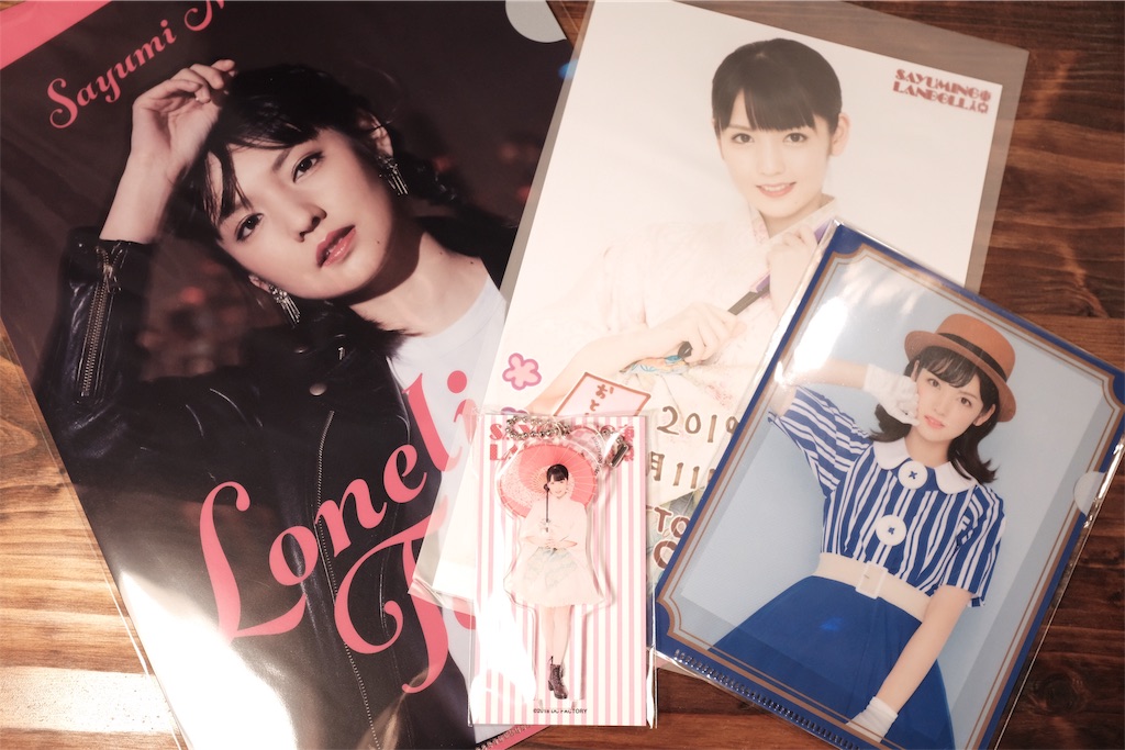 f:id:hello_Kazukix:20190112095237j:image